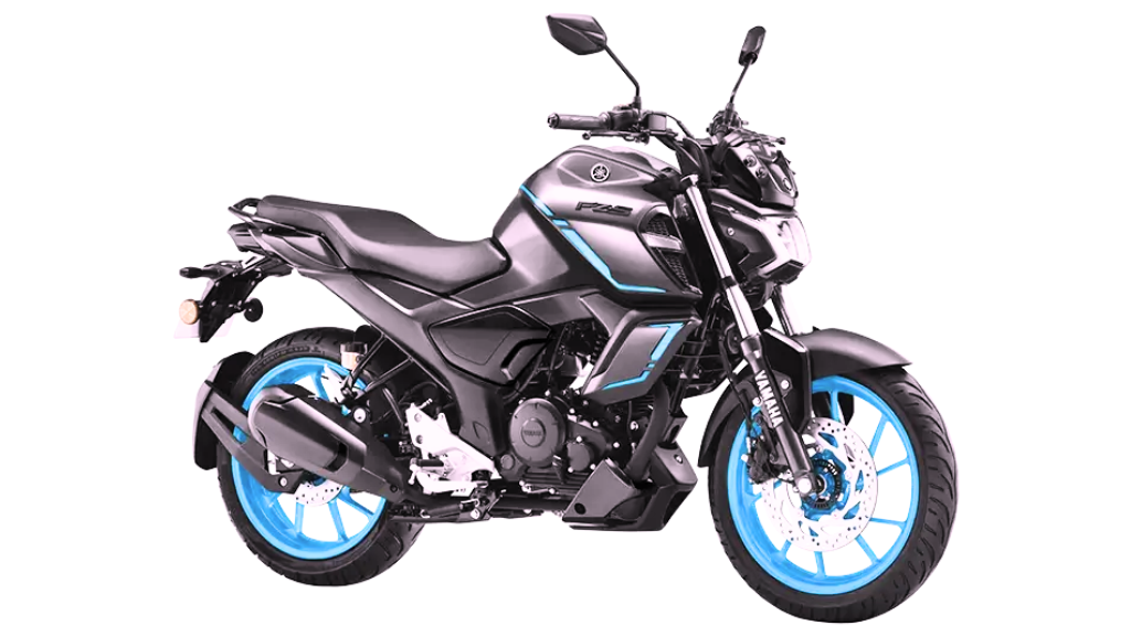 FZS 600