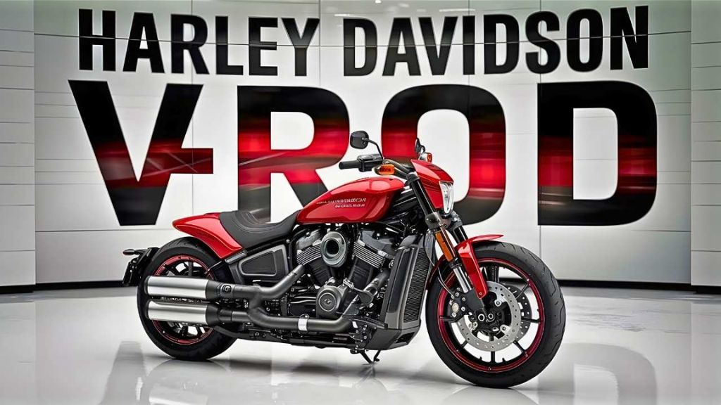Harley v Rod muscle