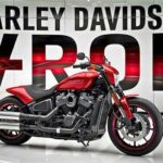 Harley v Rod Muscle