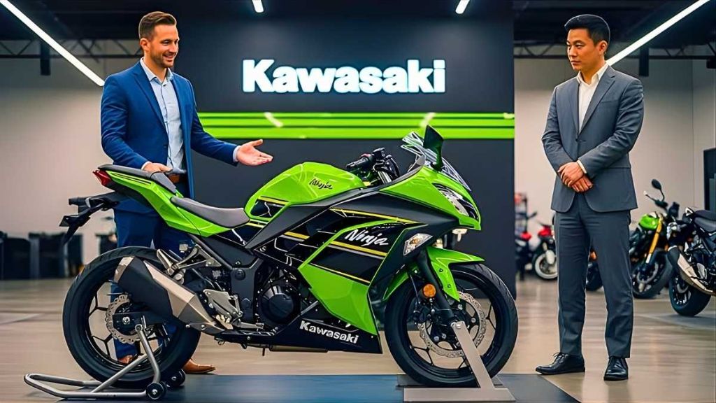 Kawasaki Ninja 300 Motorcycle